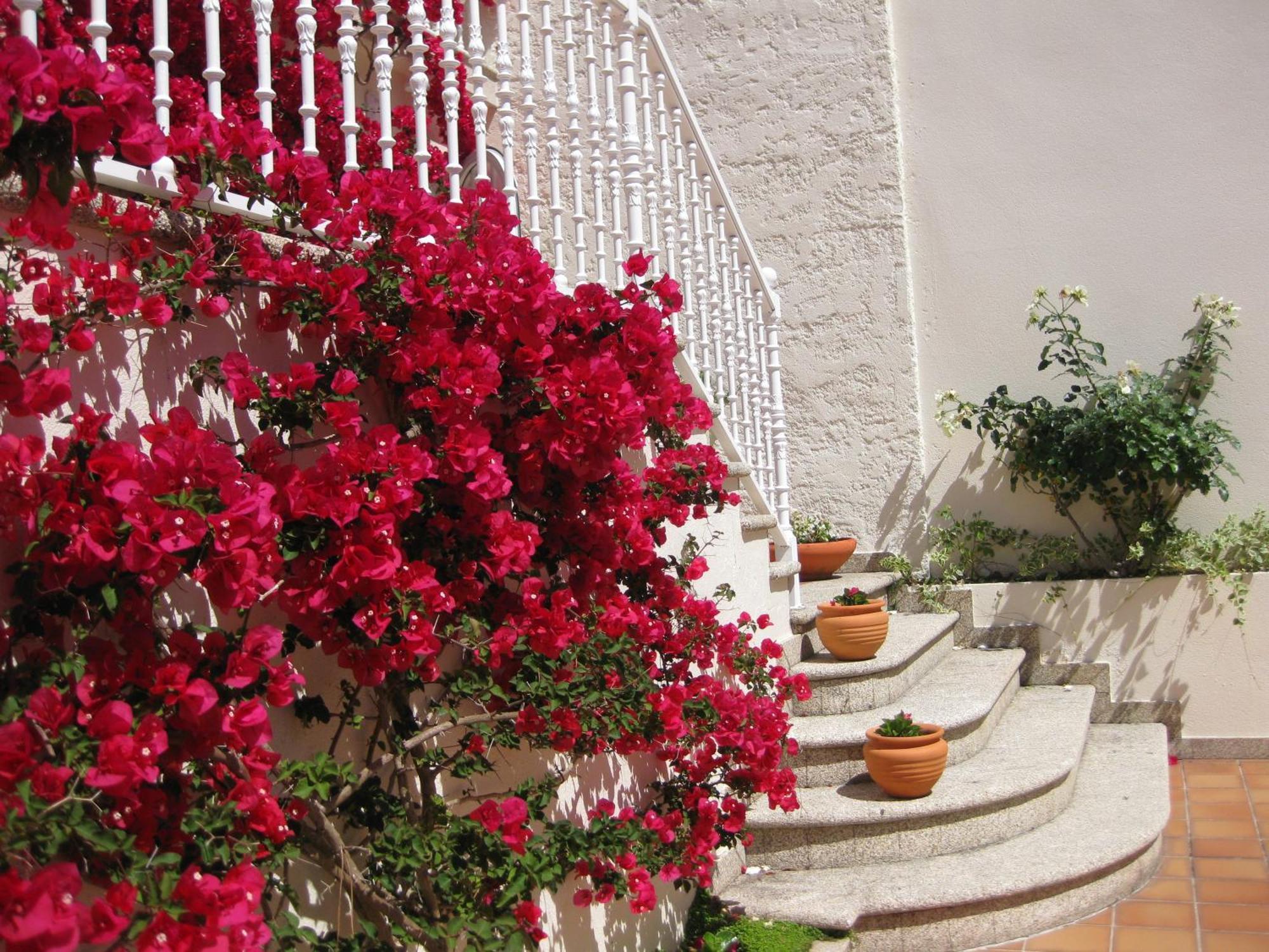 Apartamentos Maritimo Suites-Solo Adultos O Grove Exteriör bild